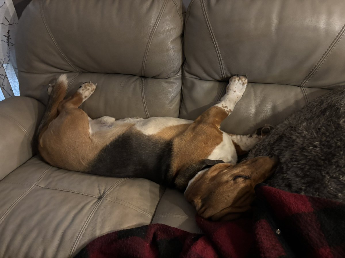 Kevin Booth tweet media