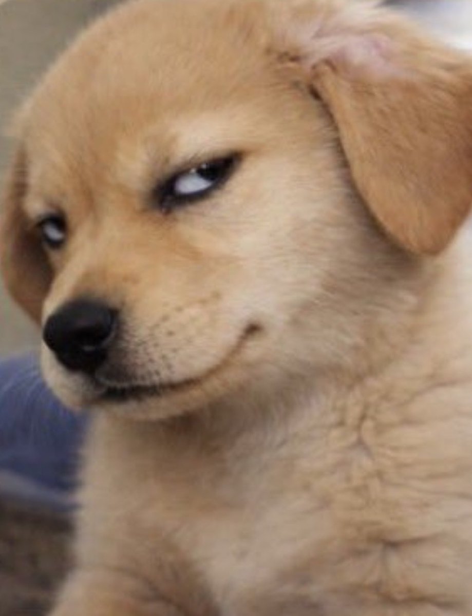 Damian Formoso (@damianformoso) on Twitter photo 