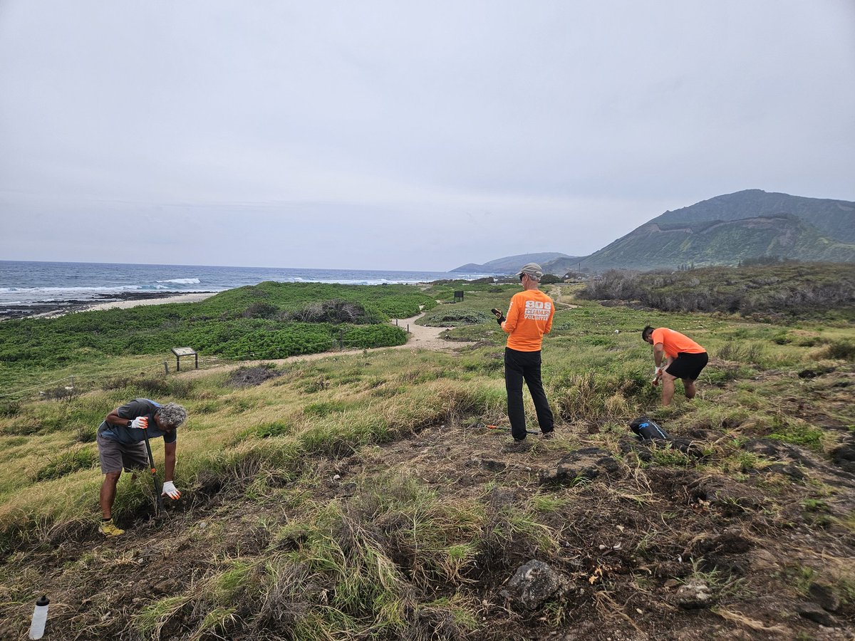 808cleanups tweet media