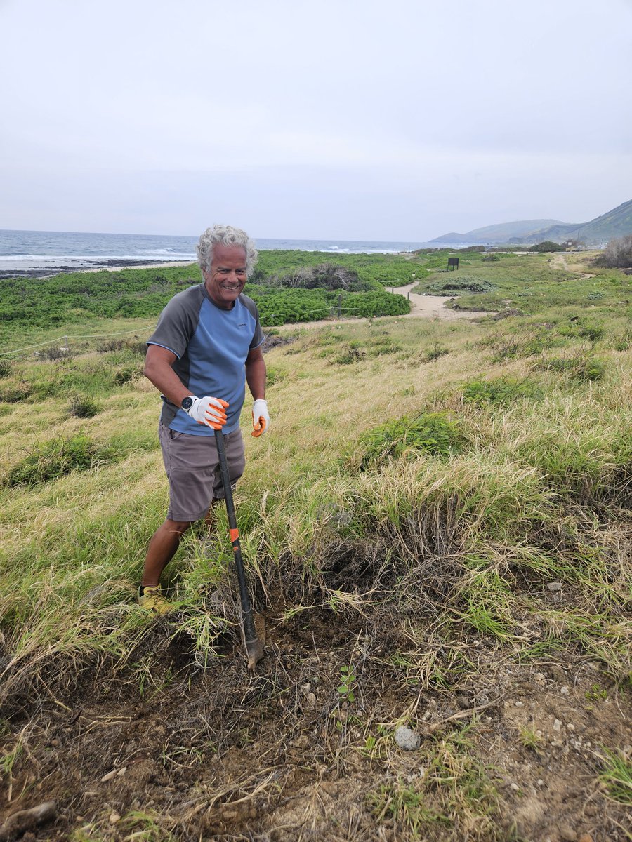 808cleanups tweet media