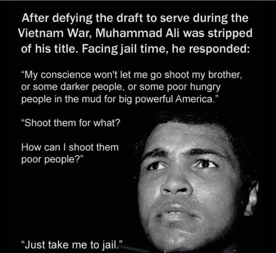 GATTO Movement tweet media