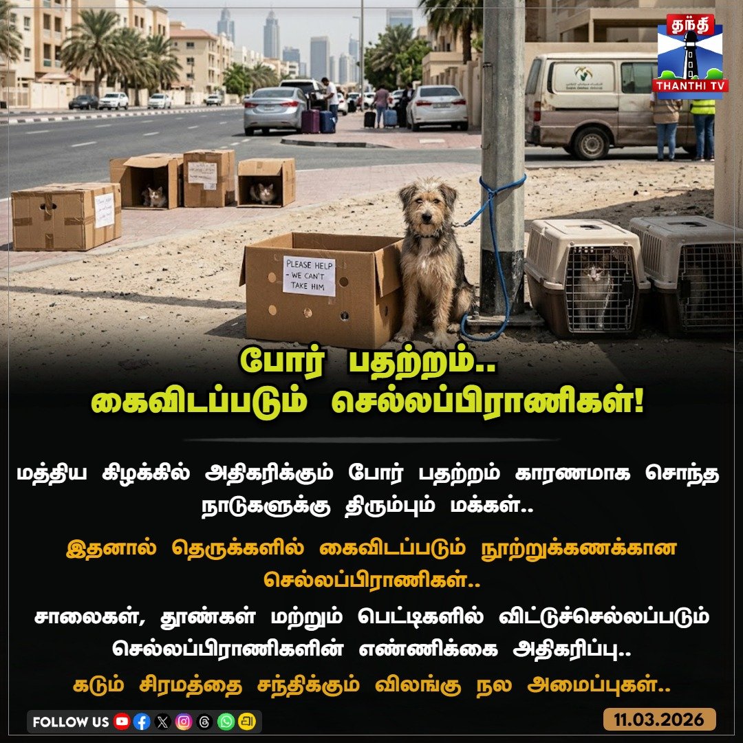 sundartsp's tweet photo. A Dog Named Palma ஒரு தொழிலதிபரால் விமான நிலையத்தில் விட்டு போற நாய் , அதை அன்பை காட்டி வளர்க்கிற சின்ன பையன் என்று செமயா போகும். அதை நினைவு படுத்துது . 

வாழ்ந்து கெட்ட நாய்களை இப்போ தான் பார்க்கிறோம் https://t.co/J8VAWXbaGt