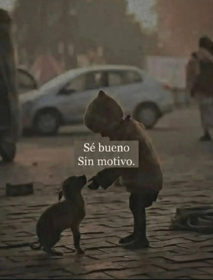 🍁 Tus Frases Favoritas 🍁 tweet media