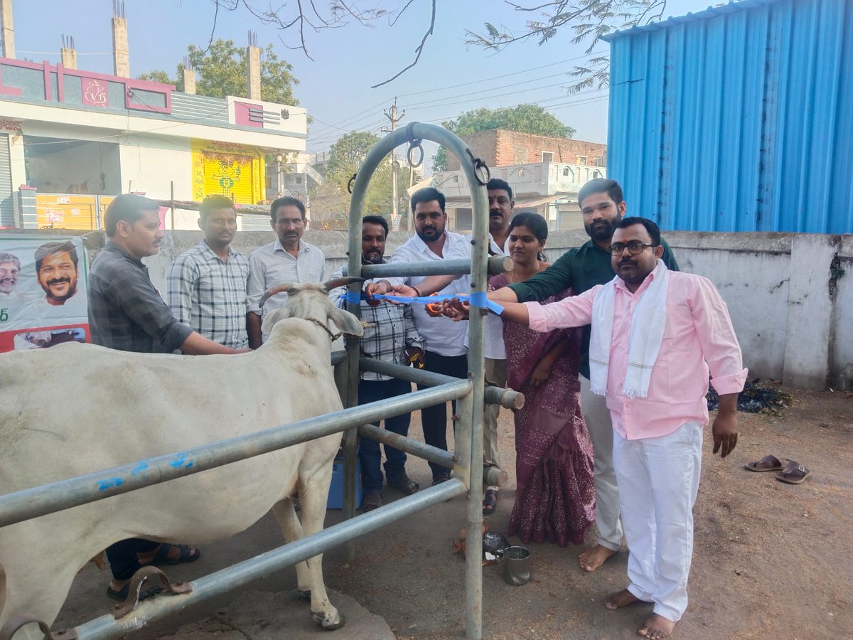 Sablesantoo's tweet photo. జాతీయ పశువ్యాధుల నివారణ కార్యక్రమంలో భాగంగా ఉచిత గాలికుంటు వ్యాధి నిరోధక టీకాల కార్యక్రమం నేరడిగొండ మండలంలోని పశువైద్యశాలలో సర్పంచ్ ఏలేటి నీలిమ రవీందర్ రెడ్డి, ఉప సర్పంచ్ గోతి గులాబ్ సింగ్, వార్డు సభ్యులు సాబ్లే సంతోష్ సింగ్ లు గోమాతకు పూజ చేసి పశువులకు టీకాలు వేయడం జరిగింది. https://t.co/aKJcpxhYAa