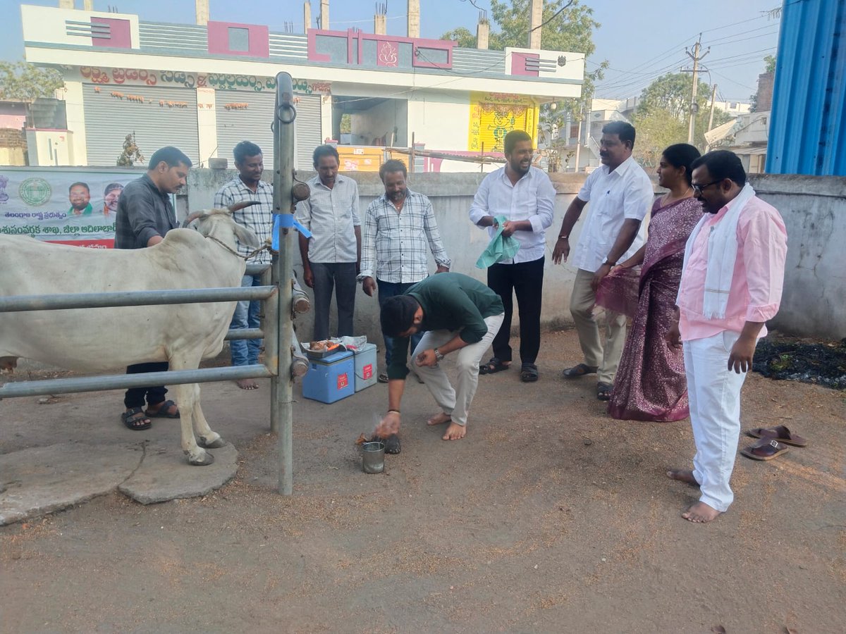 Sablesantoo's tweet photo. జాతీయ పశువ్యాధుల నివారణ కార్యక్రమంలో భాగంగా ఉచిత గాలికుంటు వ్యాధి నిరోధక టీకాల కార్యక్రమం నేరడిగొండ మండలంలోని పశువైద్యశాలలో సర్పంచ్ ఏలేటి నీలిమ రవీందర్ రెడ్డి, ఉప సర్పంచ్ గోతి గులాబ్ సింగ్, వార్డు సభ్యులు సాబ్లే సంతోష్ సింగ్ లు గోమాతకు పూజ చేసి పశువులకు టీకాలు వేయడం జరిగింది. https://t.co/aKJcpxhYAa