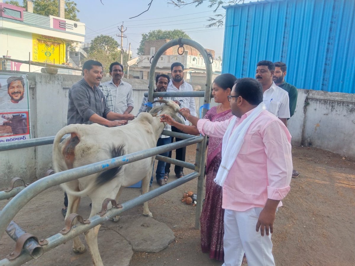 Sablesantoo's tweet photo. జాతీయ పశువ్యాధుల నివారణ కార్యక్రమంలో భాగంగా ఉచిత గాలికుంటు వ్యాధి నిరోధక టీకాల కార్యక్రమం నేరడిగొండ మండలంలోని పశువైద్యశాలలో సర్పంచ్ ఏలేటి నీలిమ రవీందర్ రెడ్డి, ఉప సర్పంచ్ గోతి గులాబ్ సింగ్, వార్డు సభ్యులు సాబ్లే సంతోష్ సింగ్ లు గోమాతకు పూజ చేసి పశువులకు టీకాలు వేయడం జరిగింది. https://t.co/aKJcpxhYAa