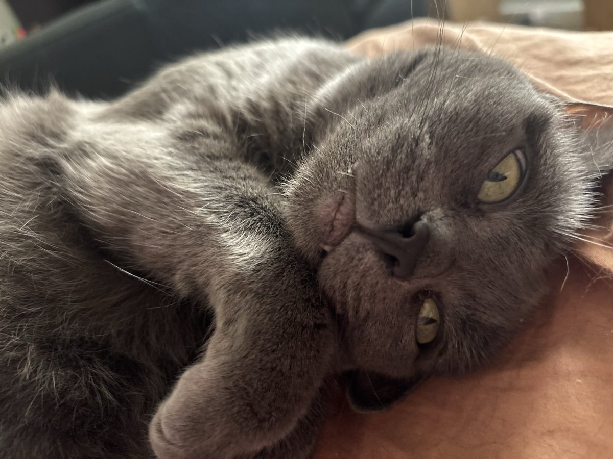 Hannah. 🦩 tweet media