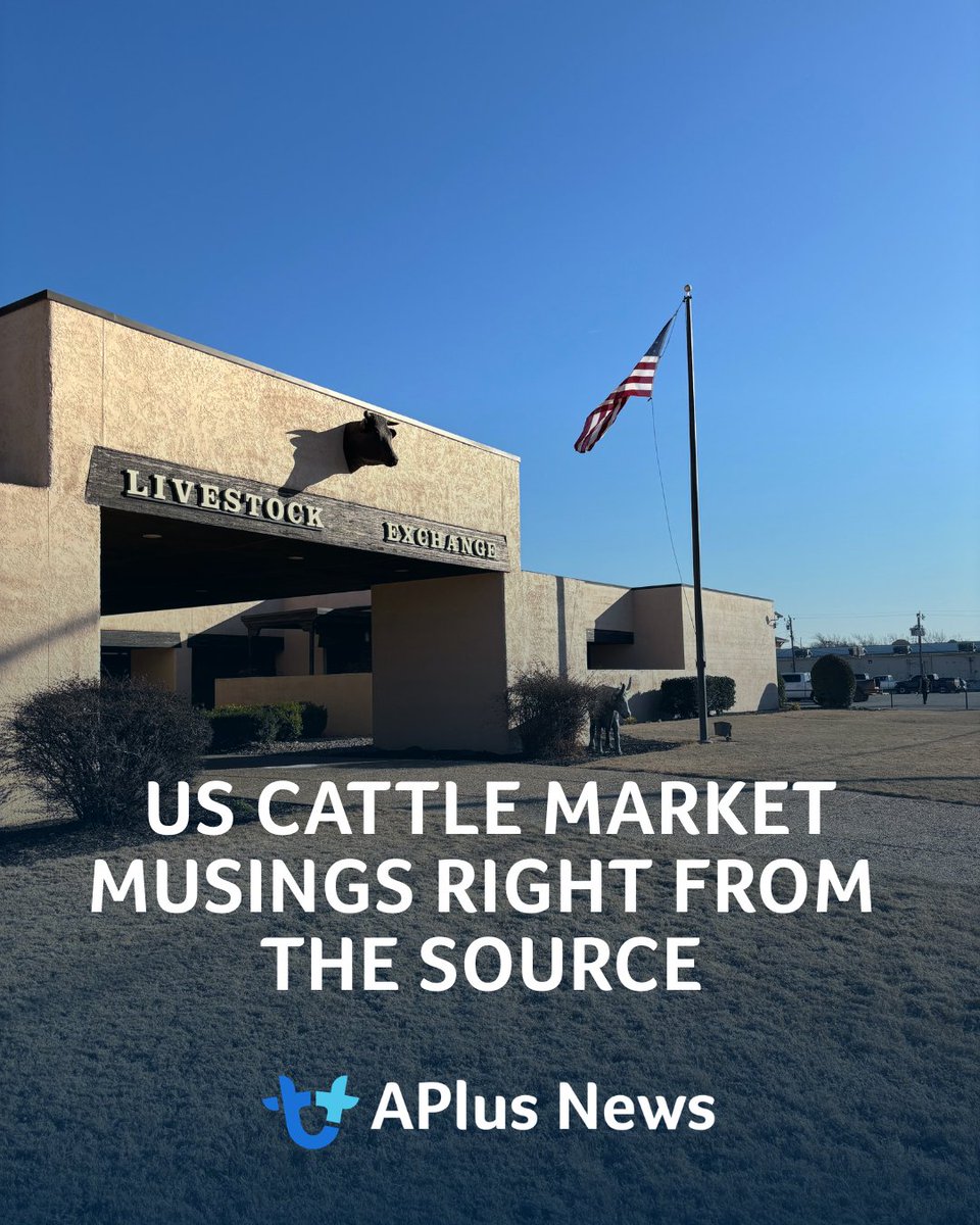 AuctionsPlus tweet media