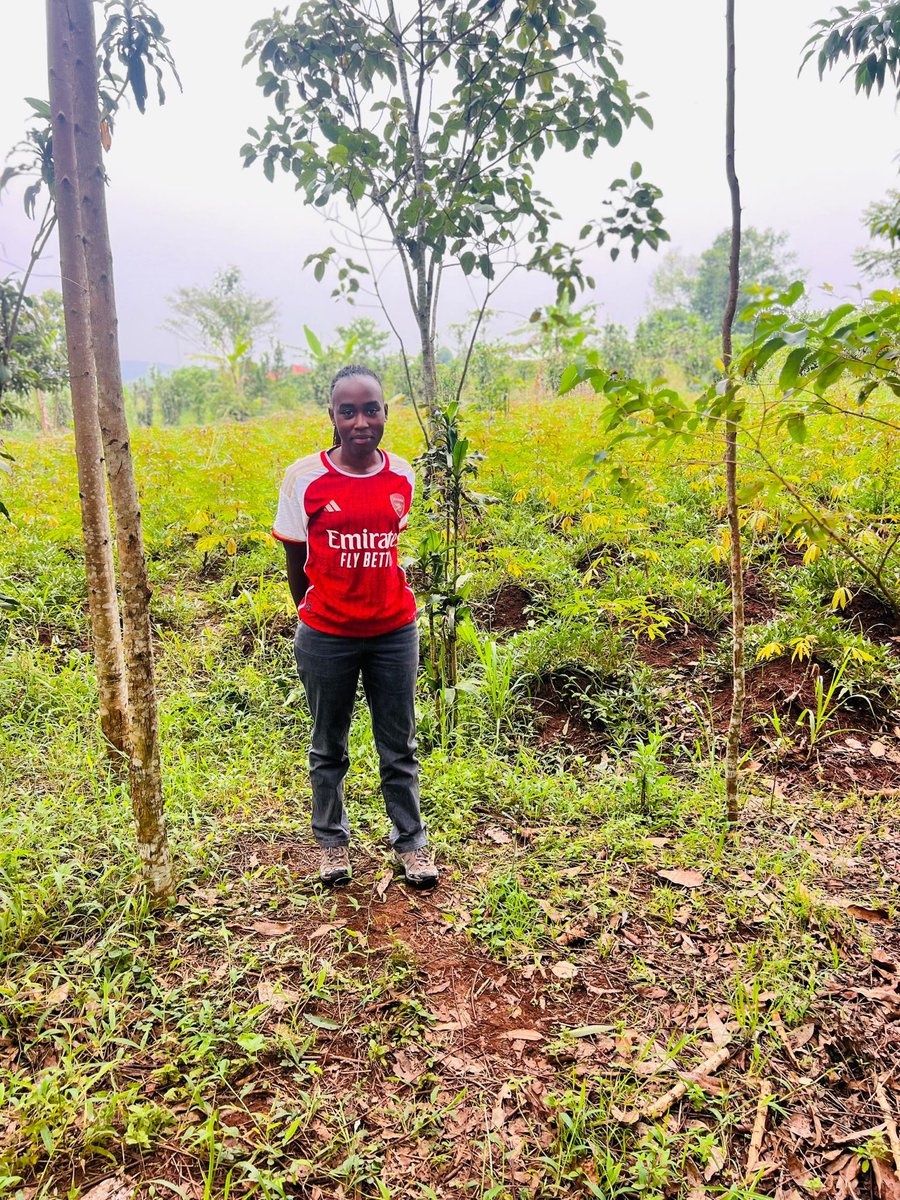 margaretnattabi's tweet image. Food security starts with empowering our #farmers🌱

How can we support smallholder farmers in our #communities to increase production and improve livelihoods?