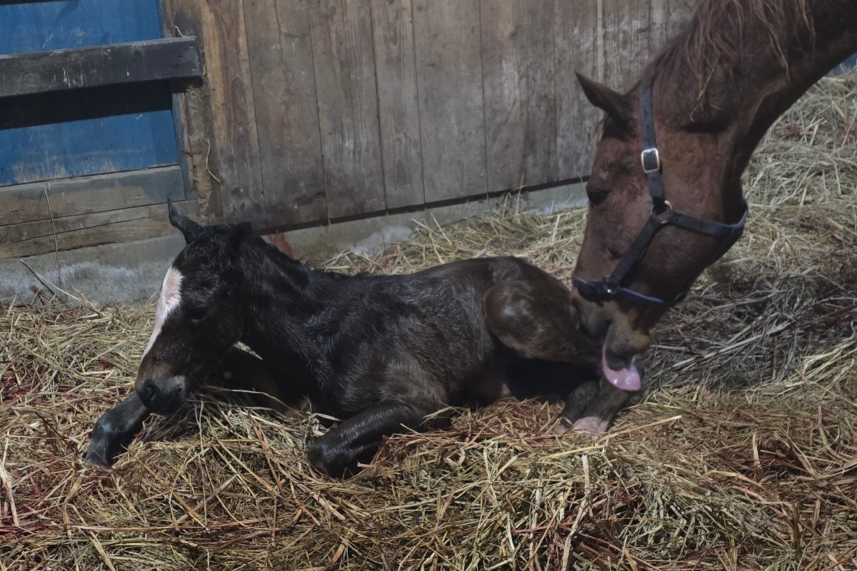 ワールドファーム tweet media