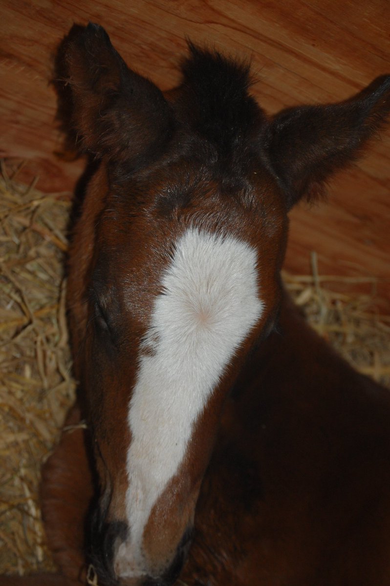 ワールドファーム tweet media