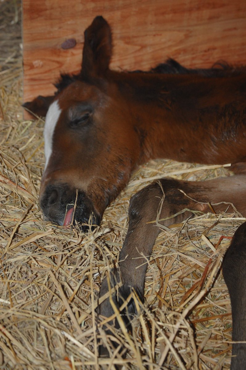 ワールドファーム tweet media