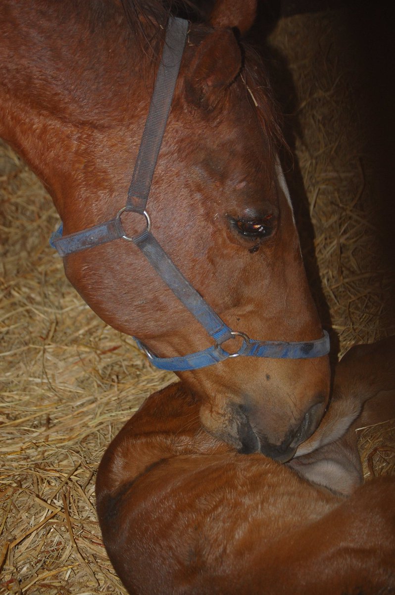 ワールドファーム tweet media