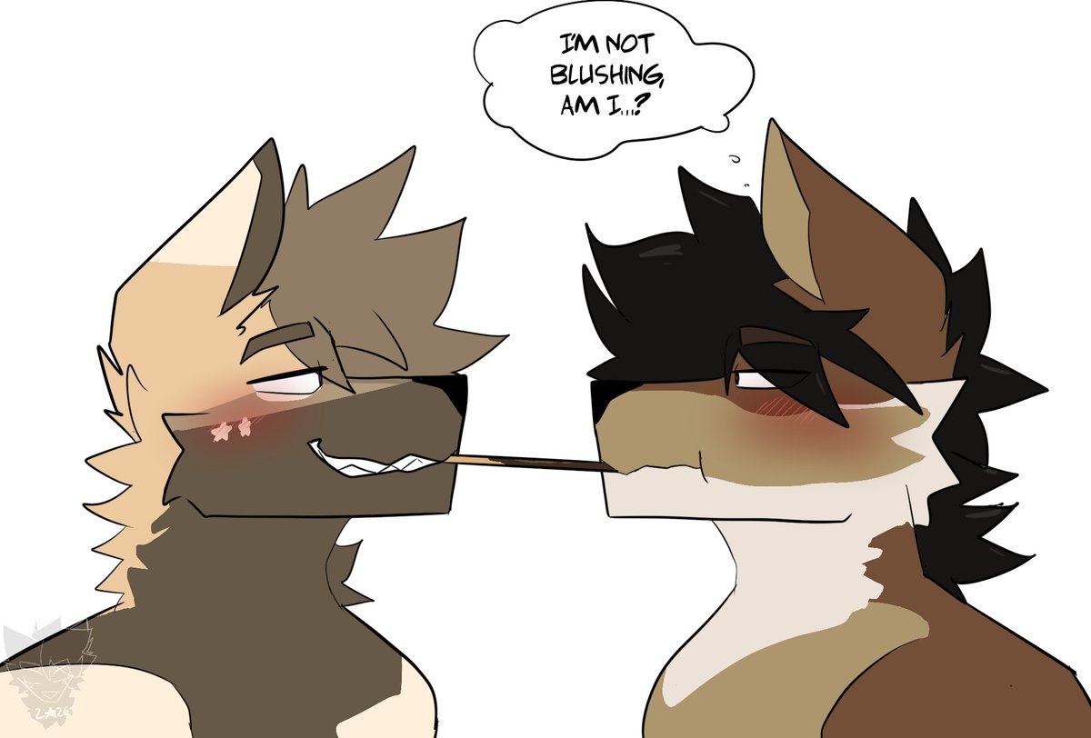 Star ☆ tweet media