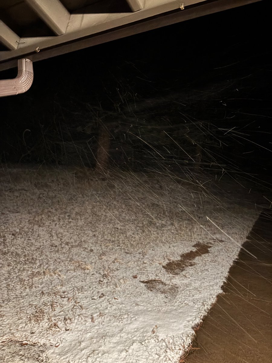 EstesParkWx tweet media