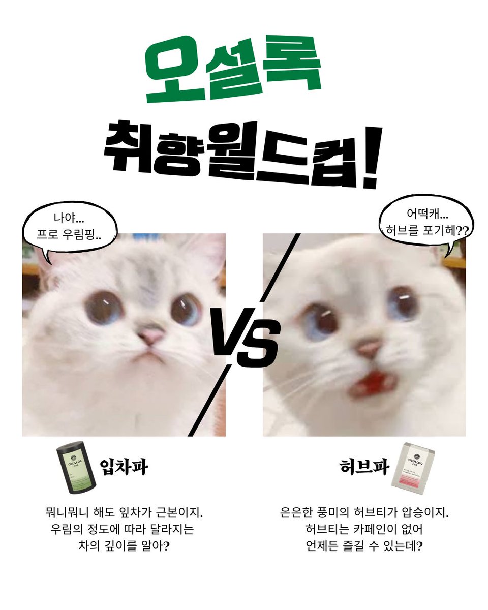 오설록 OSULLOC tweet media