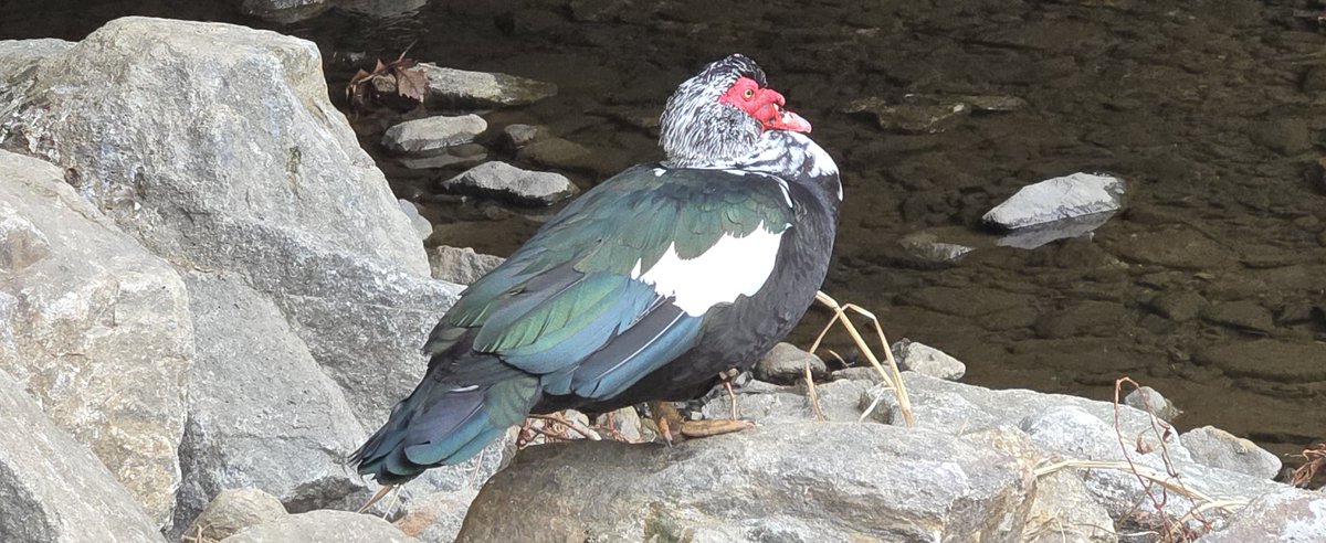 박원효. Eugene. tweet media