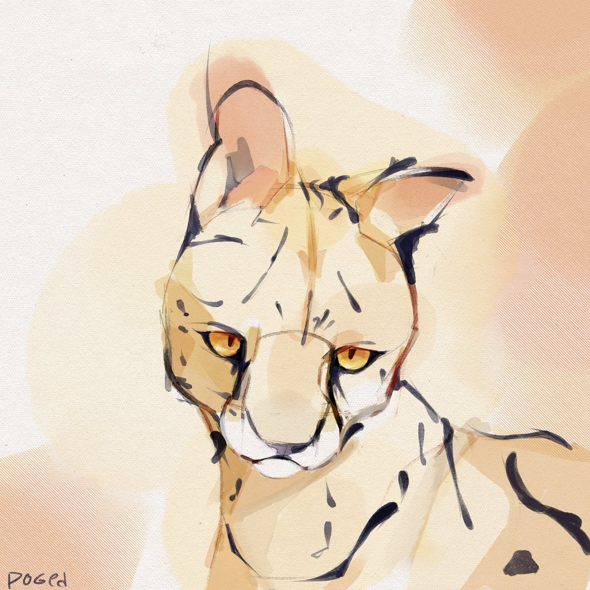 Doged (not that doge) tweet media