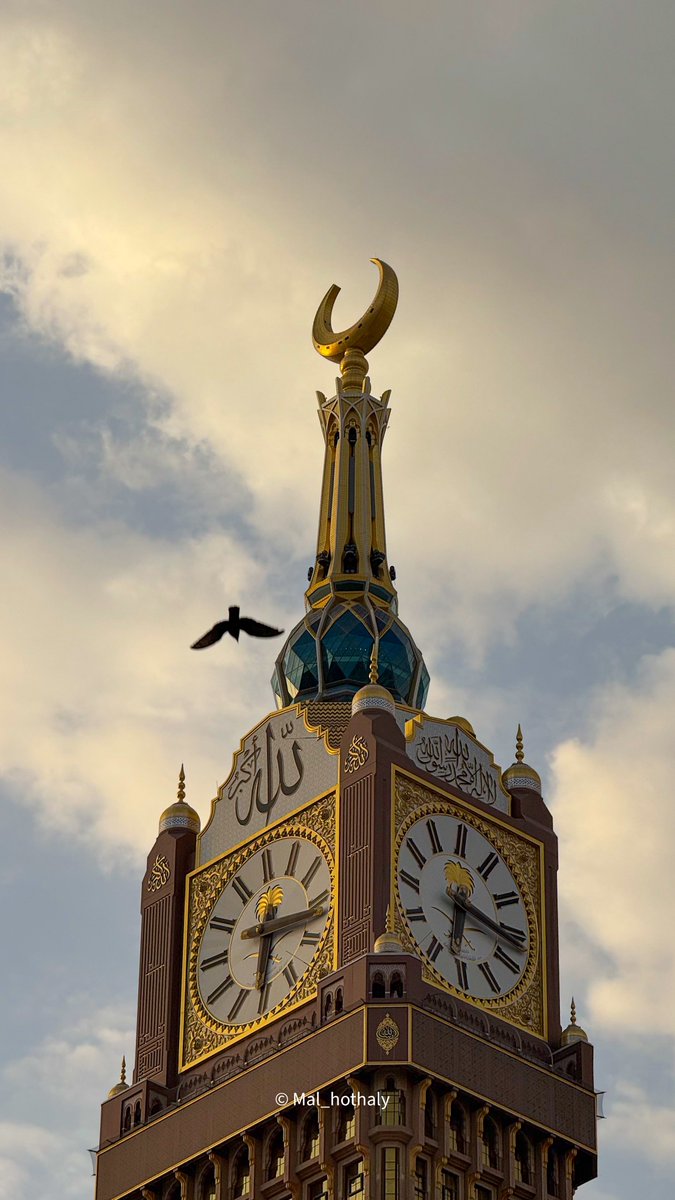 محمد الهذلي 🇸🇦 tweet media