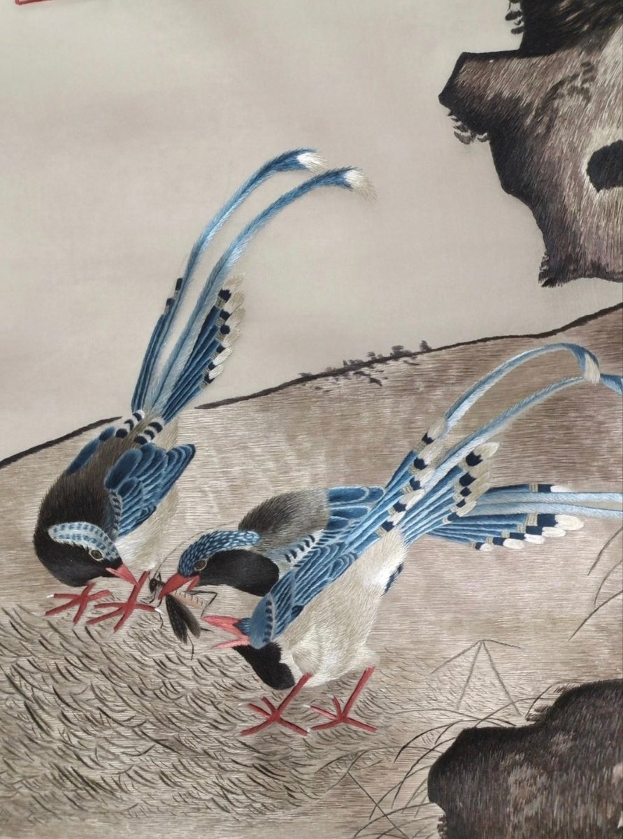 孟松仪(互fo) tweet media