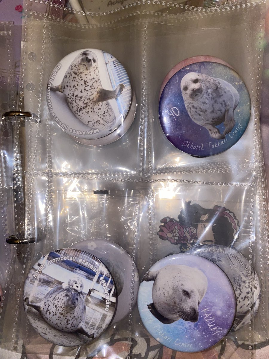 patty ♡ tweet media