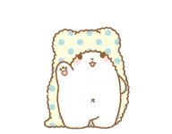 えら(에라) tweet media