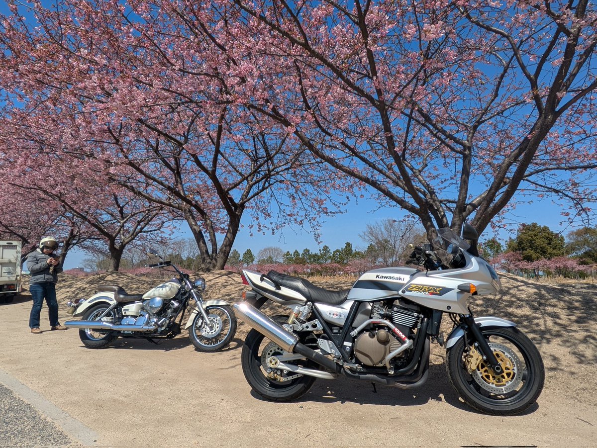 mizushima_aria's tweet photo. 🌸児島湖花回廊の横にある岡南飛行場で #河津桜 のお花見ツーリング🏍️
残念ながら🌸散り始めてました🥲
#夫婦ツーリング
#ZRX1200S
#DS250 https://t.co/6JKtfqdgZt