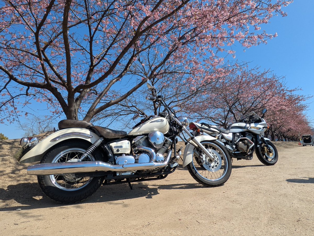 mizushima_aria's tweet photo. 🌸児島湖花回廊の横にある岡南飛行場で #河津桜 のお花見ツーリング🏍️
残念ながら🌸散り始めてました🥲
#夫婦ツーリング
#ZRX1200S
#DS250 https://t.co/6JKtfqdgZt