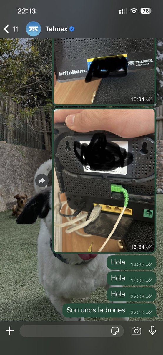 CharlieVTW's tweet photo. Señores de @Telmex son unos abusadores. Ya van varios días sin Internet y no solo no solucionan nada, me hacen perder tiempo, me escriben a cualquier hora y me dejan colgado una tras otra vez. Necesito solución ya https://t.co/3t69PRTWWS