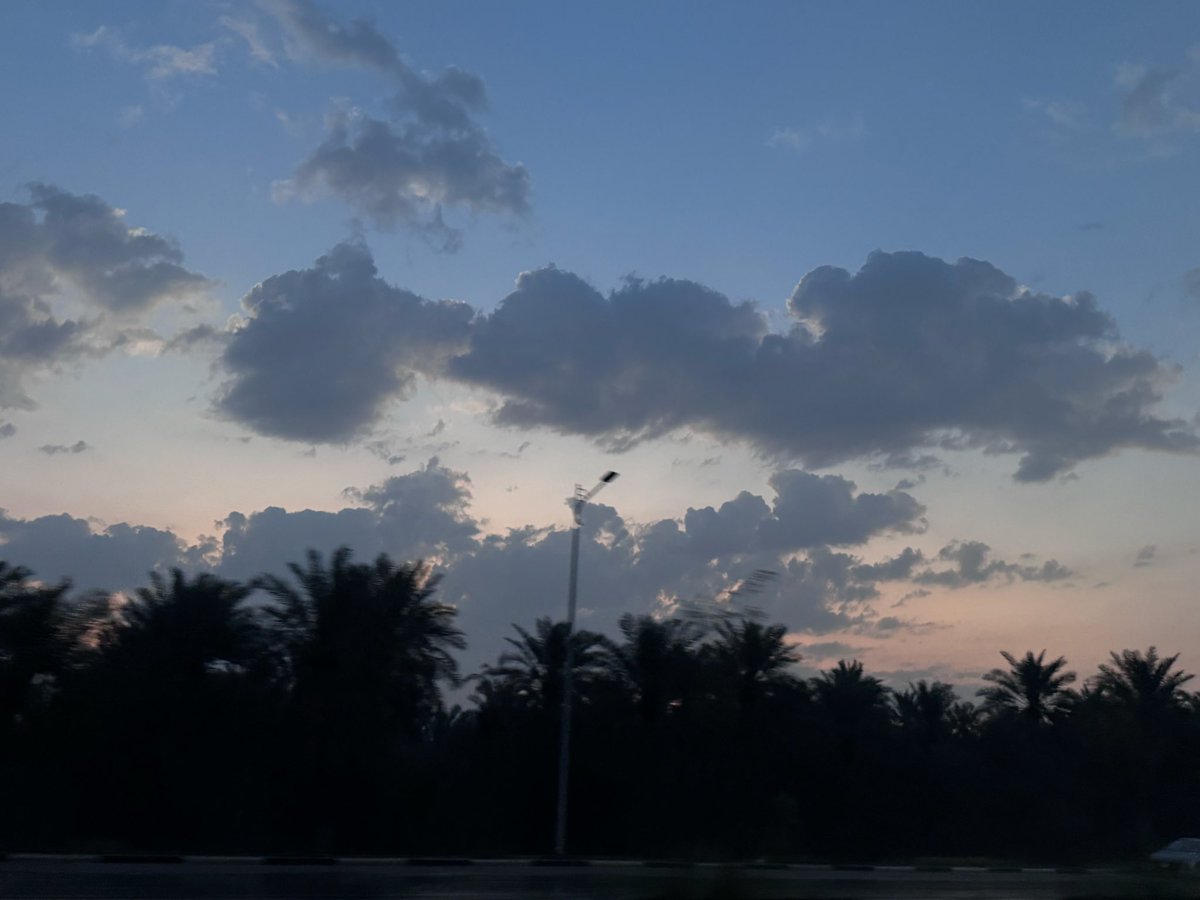 sh_3rn's tweet photo. 🌴🌄 https://t.co/gGUUQgk6yV