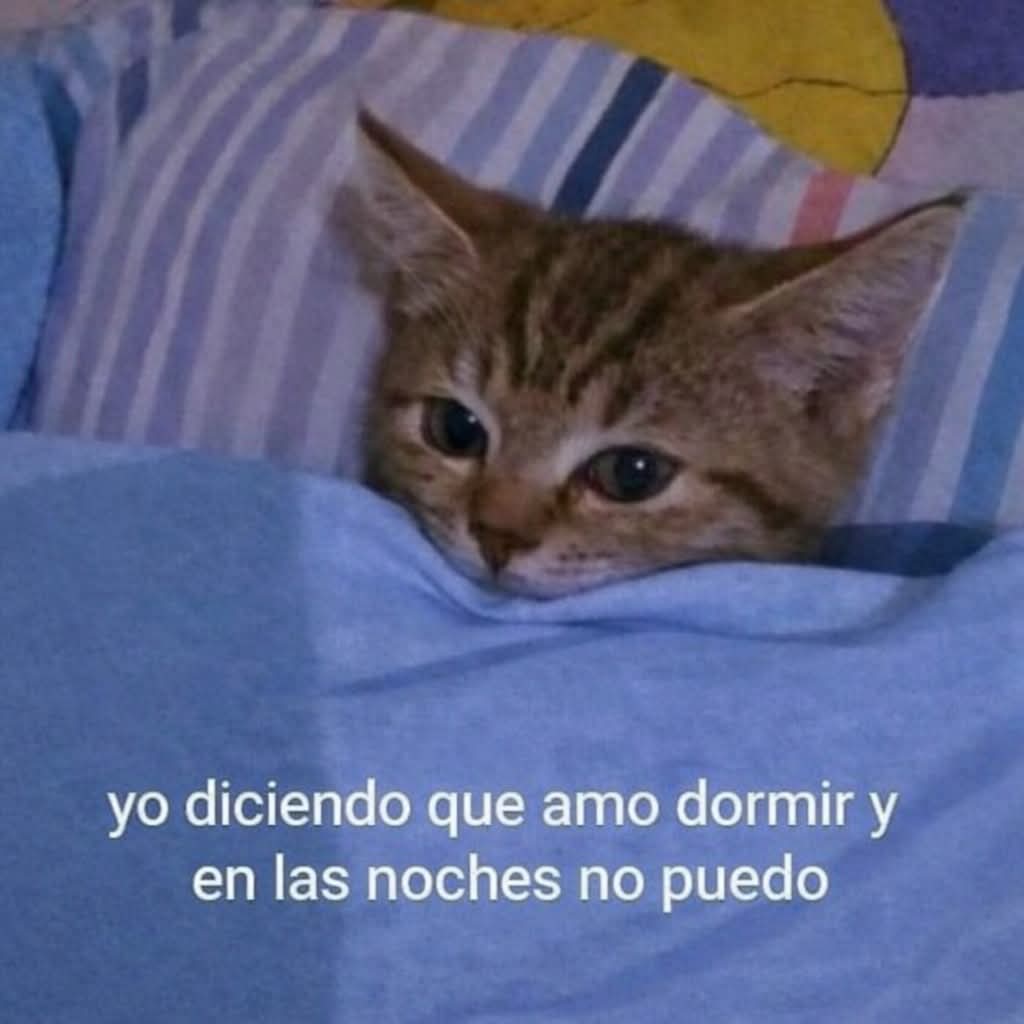 Lonely🥀 tweet media