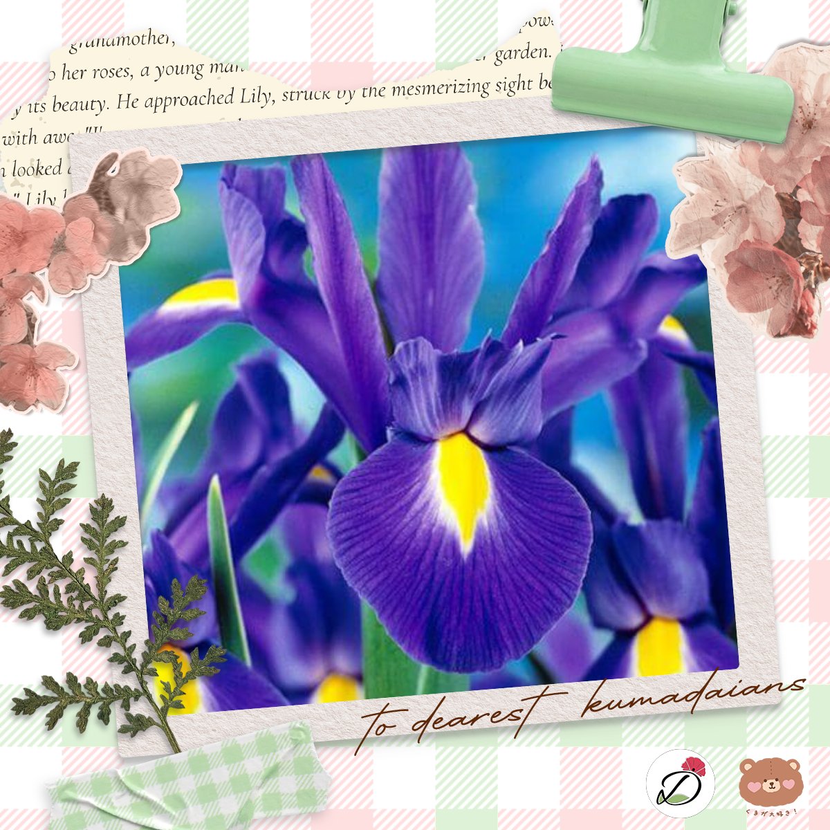 𝒆𝒎𝒆𝒓𝒚. 𖹭 tweet media