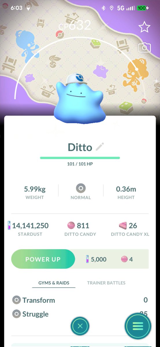 Kurtis ⚾ tweet media