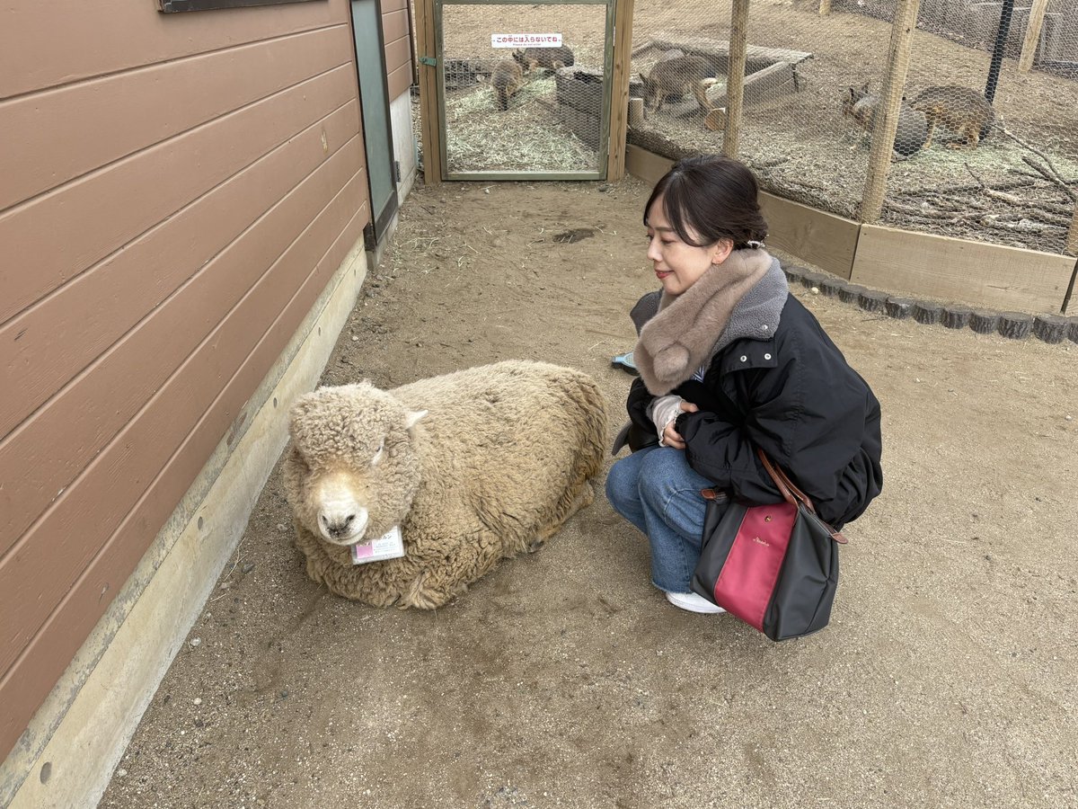 fromfcnaoko's tweet photo. マザー牧場おもしろすぎ https://t.co/ogtTdEoqB2