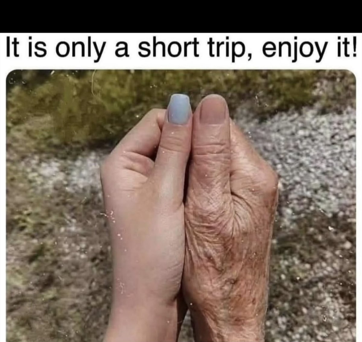 No Context Clips tweet media