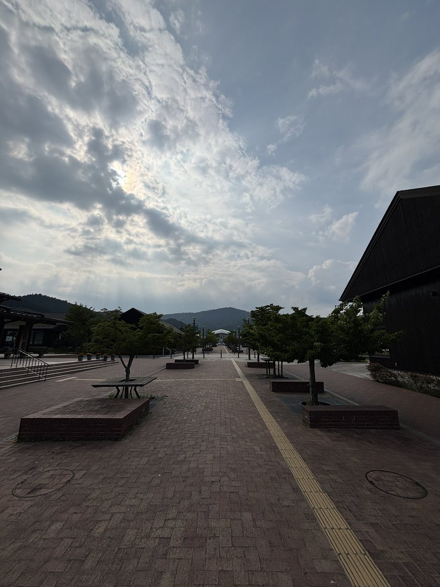 Carlos D. Zavarce V. tweet media