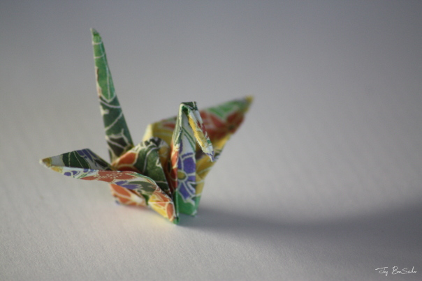 don't mess with me ...

i do full contact origami 😳