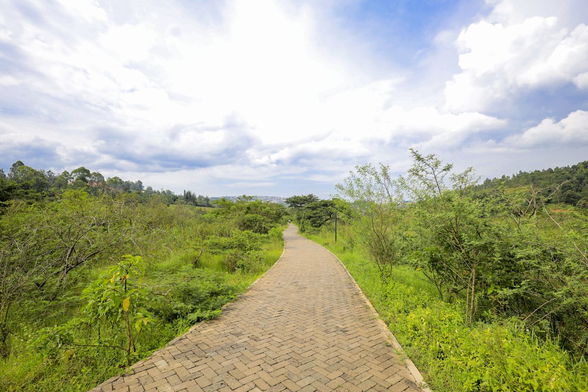 World Bank Group Climate and Environment tweet media