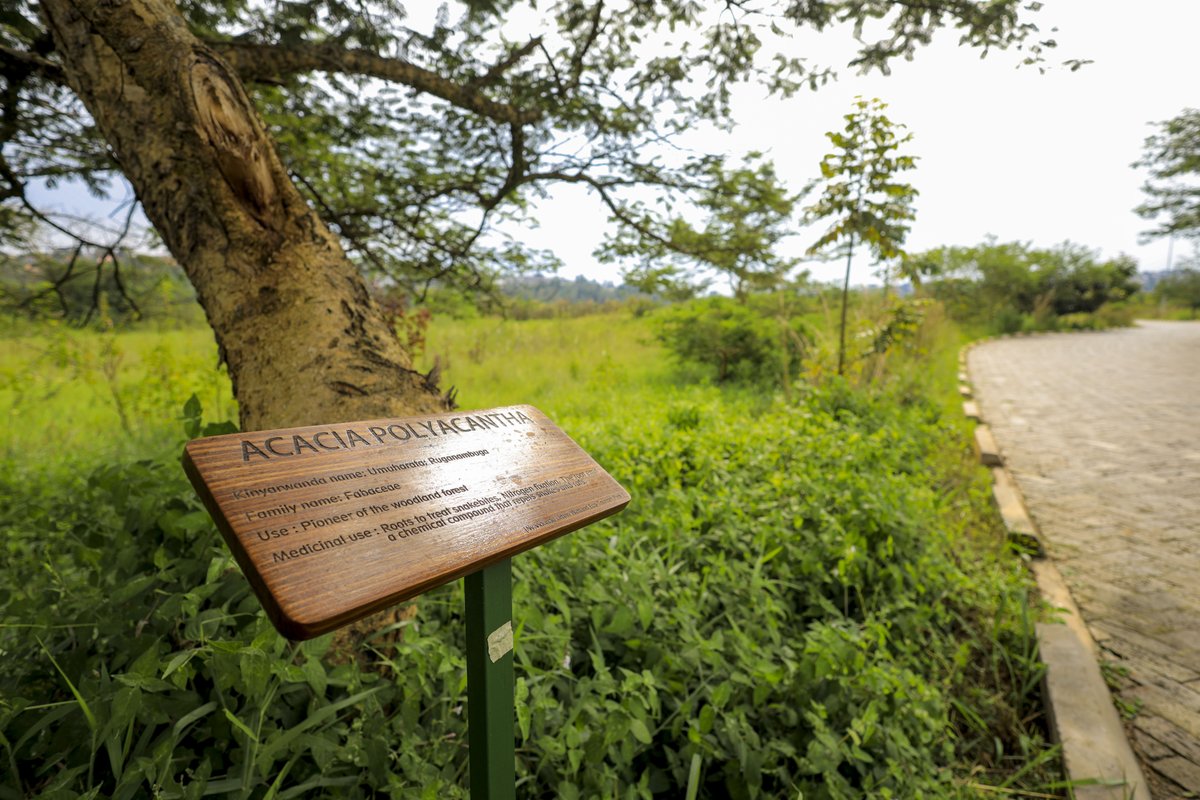 World Bank Group Climate and Environment tweet media