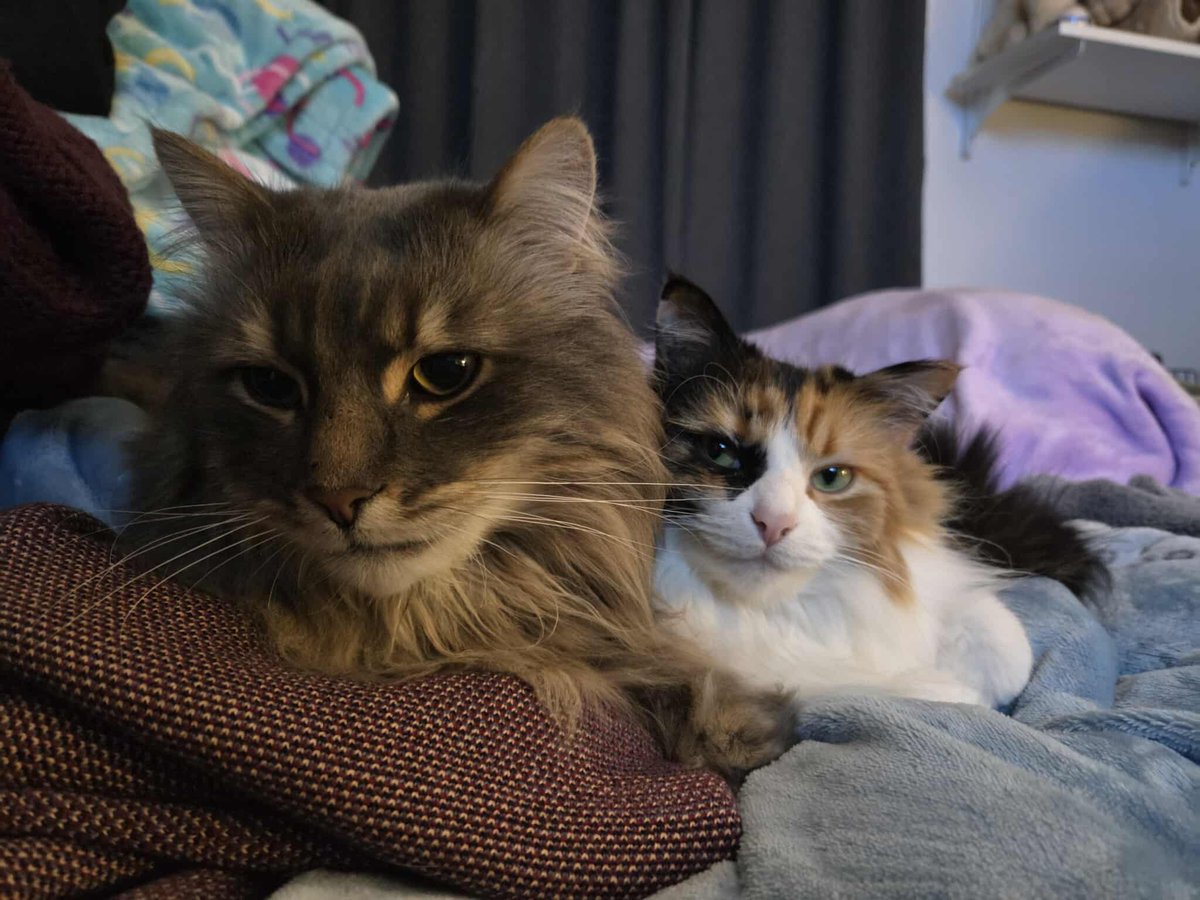 Kat Louise tweet media