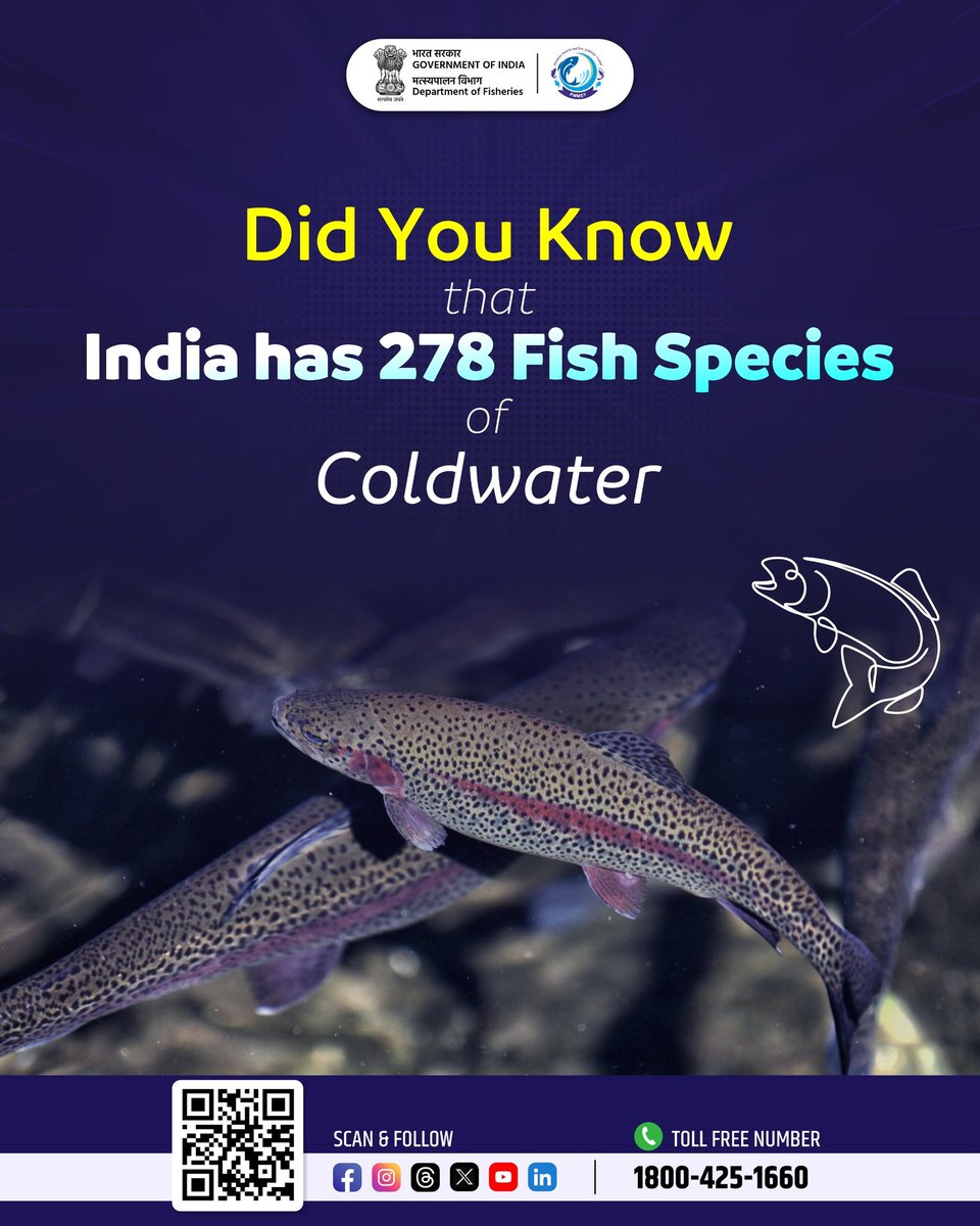 FisheriesGoI's tweet image. The Aquatic biodiversity of India's cold water resources is richer than you think!

#ColdWaterFisheries #ColdWater #Species