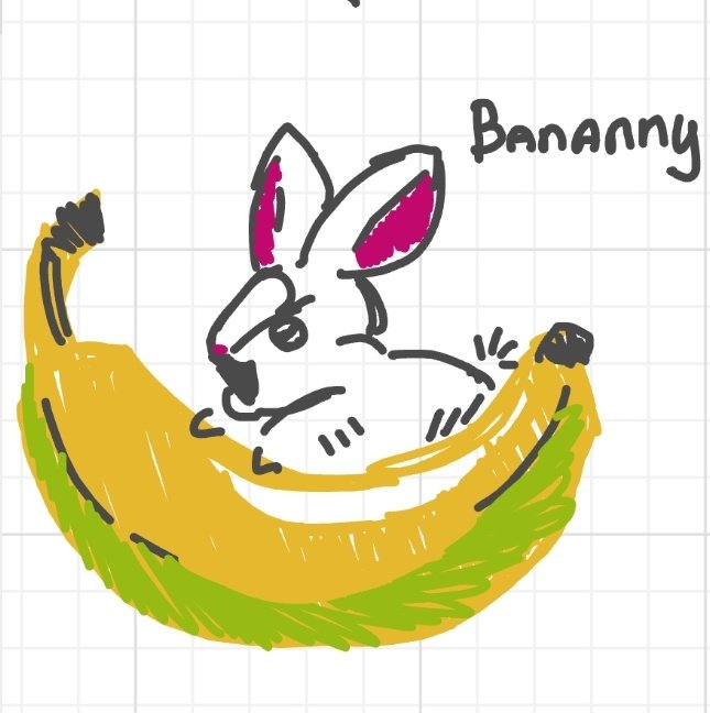 I drew buni today