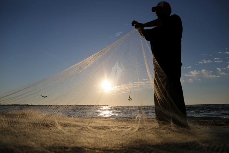 Othman Al-Sharabi | عثمان الشرعبي tweet media