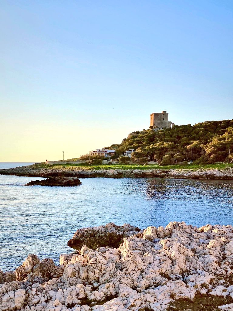 @antonellamalu4 tweet media