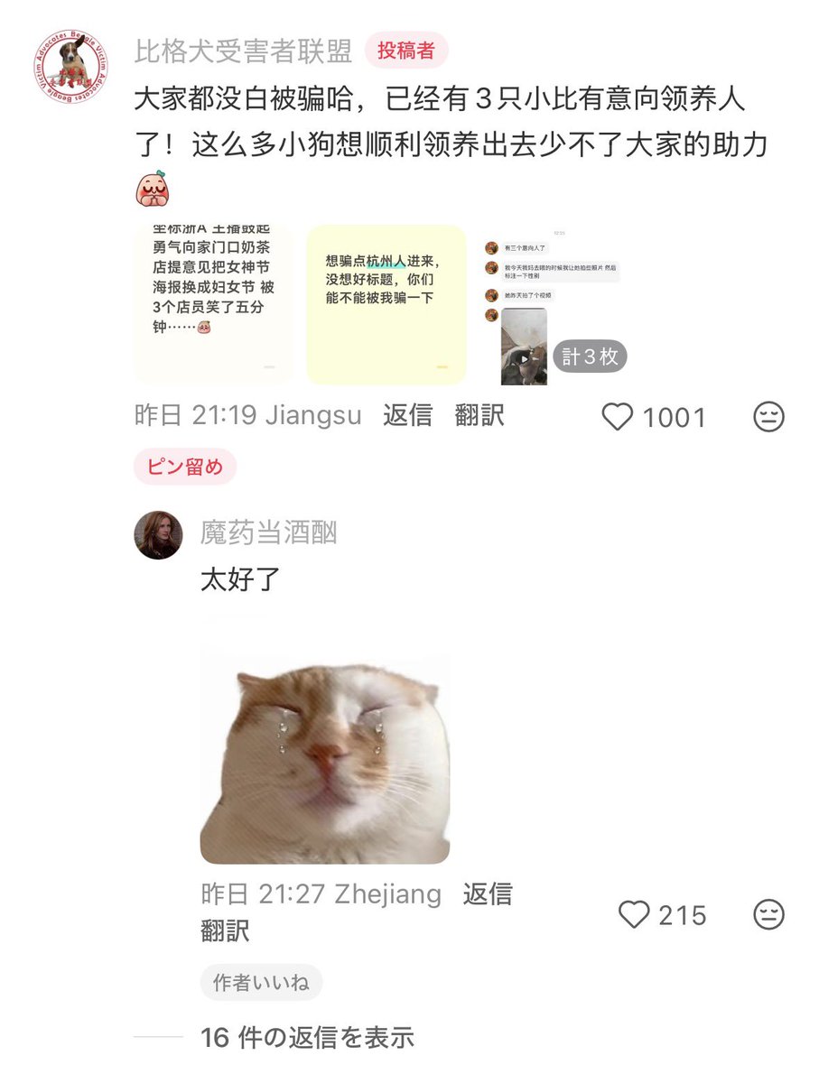 のらいぬ tweet media