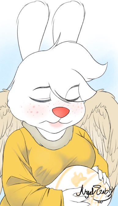 Cuddlebear tweet media