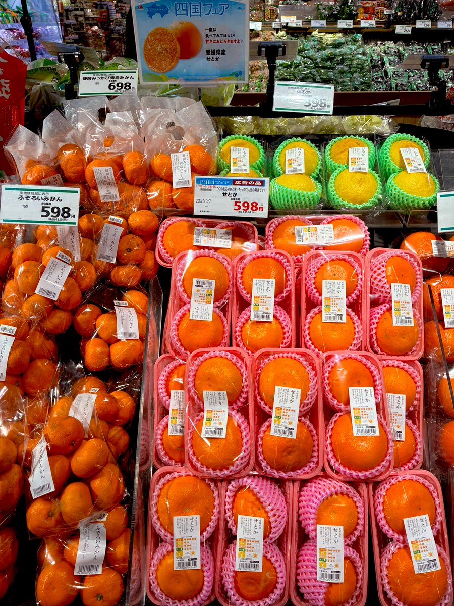 四国フェア開催 四国の名産がいっぱいです🍊 この機会に四国に行った
