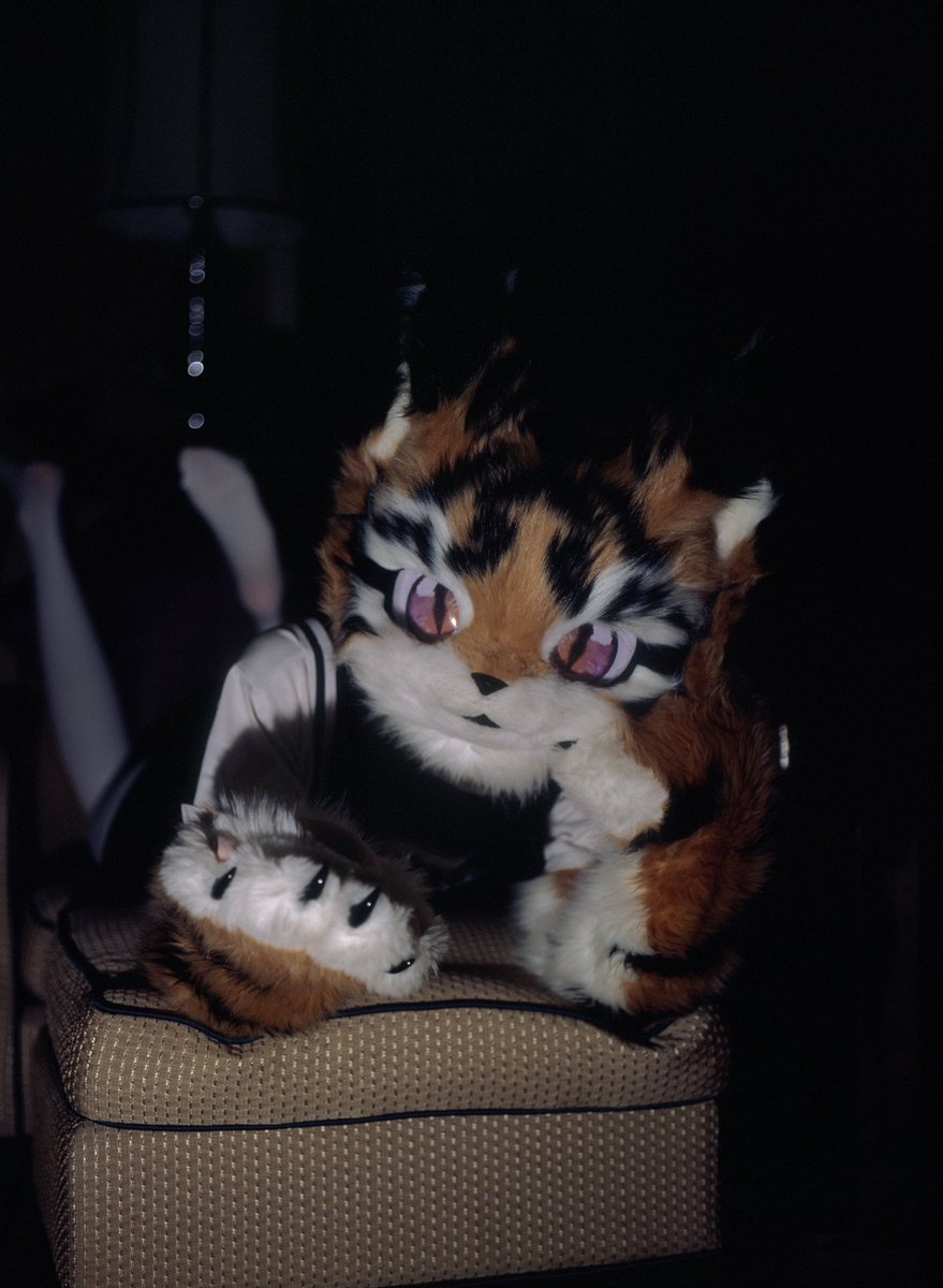 是森不是sen tweet media