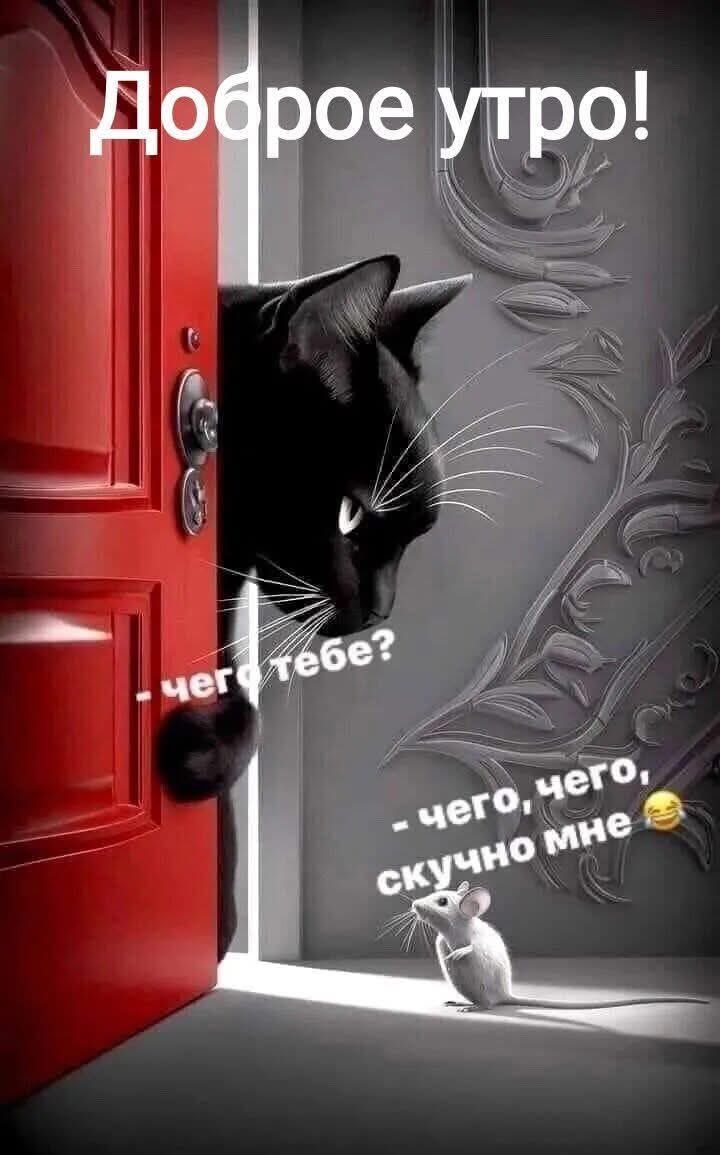 ElenaAL🌿 (@nauayseh) on Twitter photo 