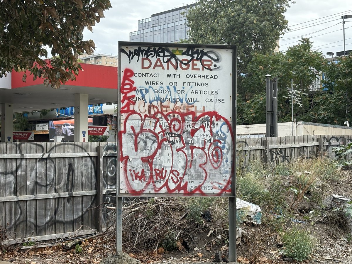 Ashley 🏳️⚧️ tweet media